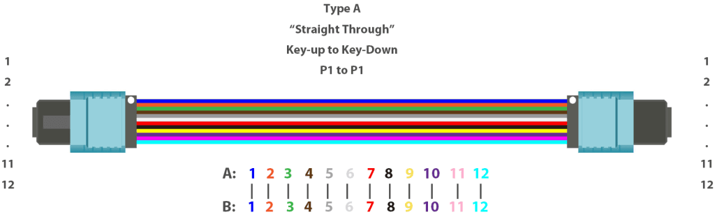 Instructions for MPO/MTP Fiber Optic Patch Cords