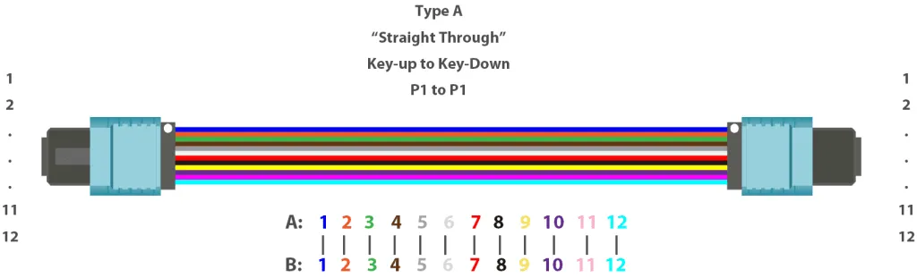12-core MPO Type A Polarity