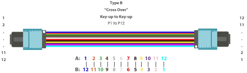 12-core MPO Type B Polarity
