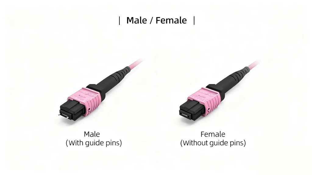 An image showing a side-by-side comparison of two pink MPO/MTP fiber optic connectors. On the left is a male connector with guide pins, labeled "Male (With guide pins)". On the right is a female connector without guide pins, labeled "Female (Without guide pins)". The title at the top reads "| Male / Female |".