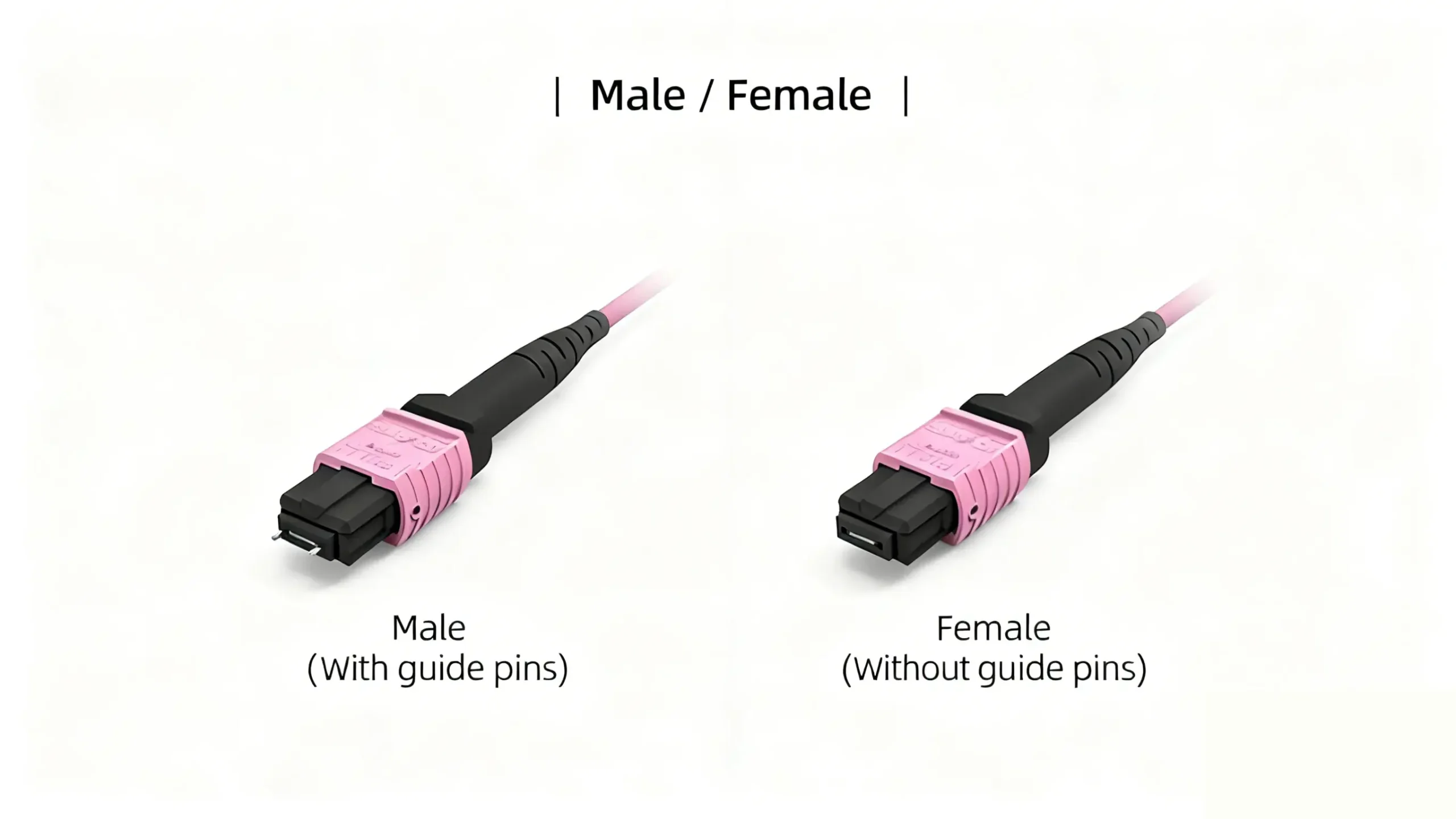 An image showing a side-by-side comparison of two pink MPO/MTP fiber optic connectors. On the left is a male connector with guide pins, labeled "Male (With guide pins)". On the right is a female connector without guide pins, labeled "Female (Without guide pins)". The title at the top reads "| Male / Female |".