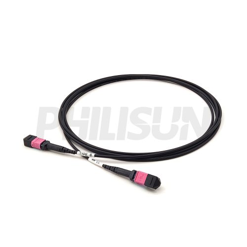 MPO Armored Jumpers-OM4-8C-1 Armored MPO-12 Fiber Optic Cable - MPO to MPO OM4 Multimode, 12-Fiber Armored Jumper Cord, for 40G/100G/200G/400G Extended Reach, PC/APC Polish (Female/Male), Type A/B/C, Aqua/Violet