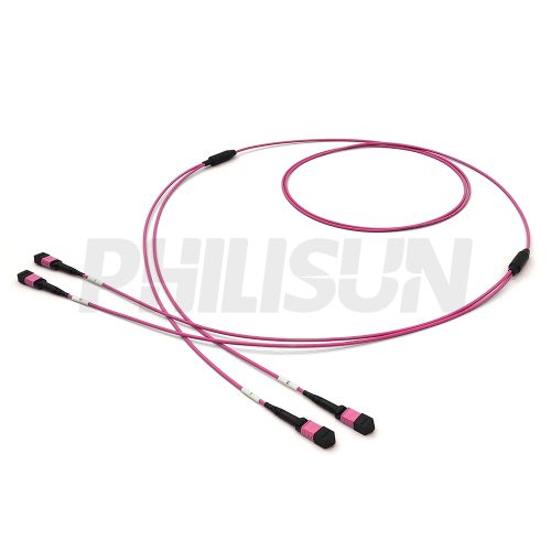 MPO Breakouts 2MPO12--2MPO12 OM4-1 MPO Breakout Cable, 2 x MPO-12 PC/APC(Female/Male) to 2 x MPO-12 PC/APC(Female/Male), 24 Fibers, Multimode(OM4),0.35dB Max, Aqua/Violet