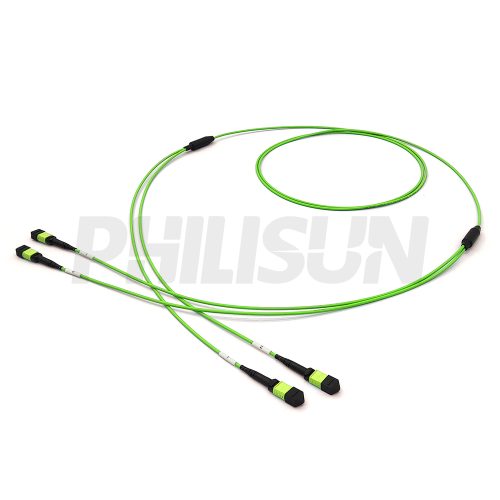 MPO Breakouts 2MPO12--2MPO12 OM5-1 MPO Breakout Cable, 2 x MPO-12 PC/APC(Female/Male) to 2 x MPO-12 PC/APC(Female/Male), 24 Fibers, Multimode(OM5),0.35dB Max, Lime Green