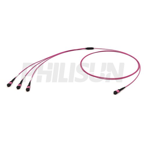 MPO Breakout Cable, MPO-24 PC/APC(Female/Male) to 3 x MPO-8 PC/APC(Female/Male), 24 Fibers, Multimode(OM4),0.35dB Max, Aqua/Violet