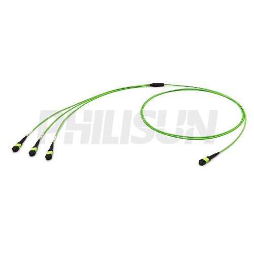 MPO Breakout Cable, MPO-24 PC/APC(Female/Male) to 3 x MPO-8 PC/APC(Female/Male), 24 Fibers, Multimode(OM5),0.35dB Max, Lime Green