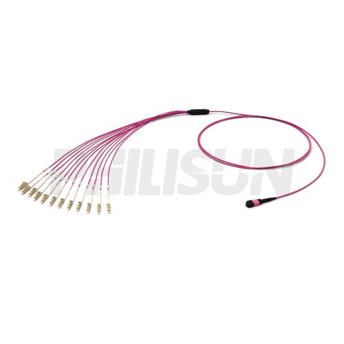 MPO Harnesses MPO-12LC-OM4-1 MPO Harness Cable, MPO-12 PC/APC(Female/Male) to LC PC/APC, 12 Fibers, Multimode(OM4), 0.35dB Max, Type A/AF/B/U, Aqua/Violet