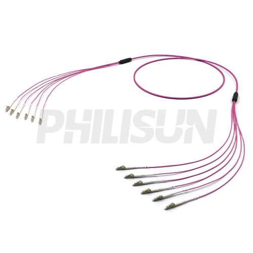 LCUPC-LCUPC OM4 6芯 束状 石楠紫色 LSZH 3M-1 LC UPC to LC UPC, OM4 Multimode, Customized Multifiber Indoor Pre-Terminated Breakout Cable, Aqua/Violet