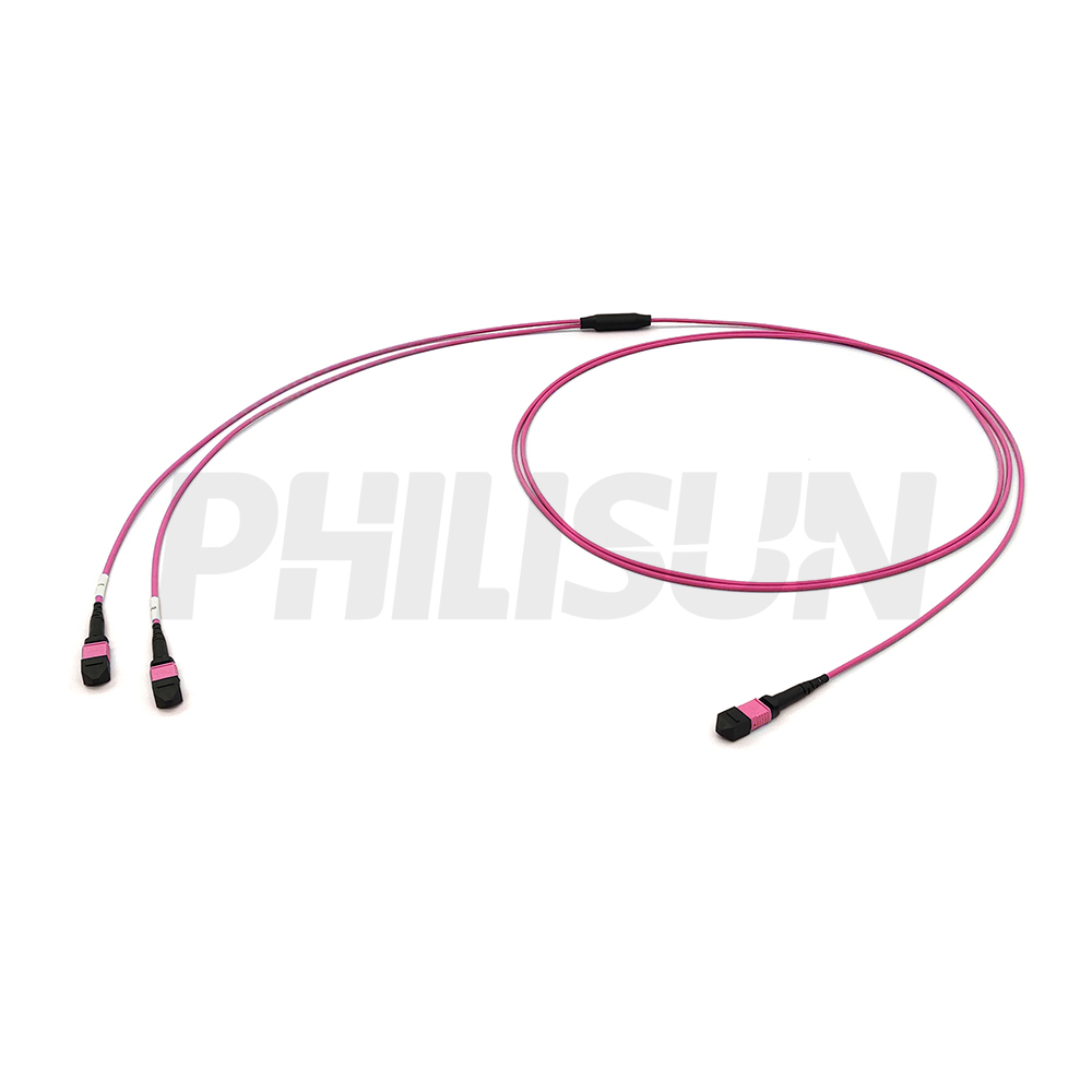 Harnesses MPO cable