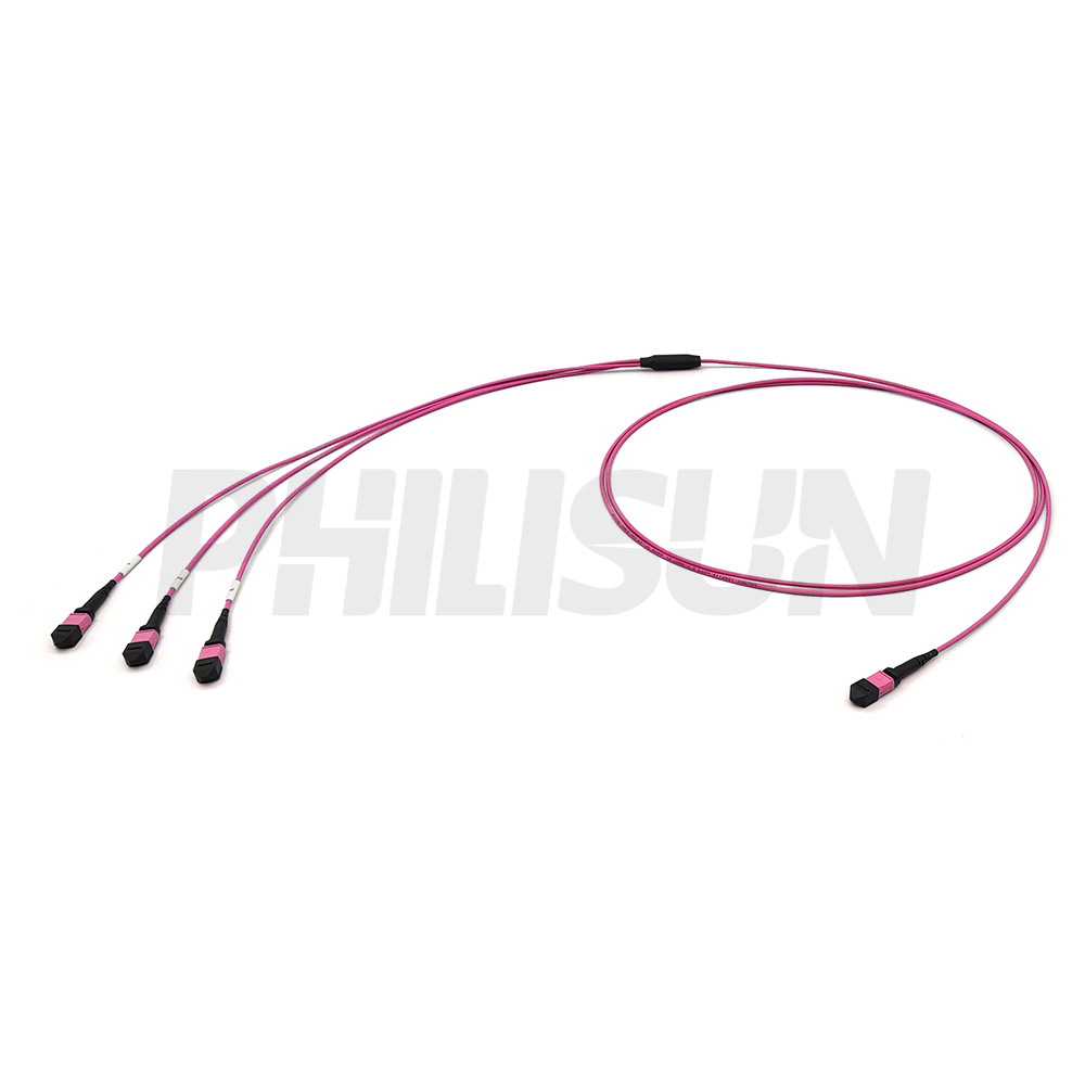 MPO Trunk Cable