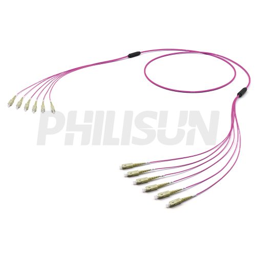 SCUPC-SCUPC OM4 6芯 束状 石楠紫色 LSZH 3M-1 SC UPC to SC UPC, OM4 Multimode, Customized Multifiber Indoor Pre-Terminated Breakout Cable, Aqua/Violet