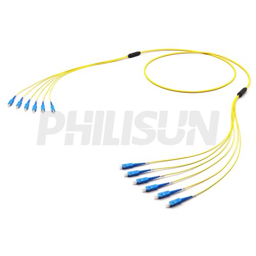 SCUPC-SCUPC SM G657A1 6芯 束状 黄色 LSZH 3M-1 SC UPC/APC to SC UPC/APC, OS2 Single Mode, Customized Multifiber Indoor Pre-Terminated Breakout Cable, Yellow