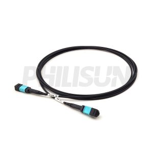MPO Trunk Cable