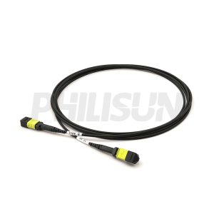 MPO Trunk Cable