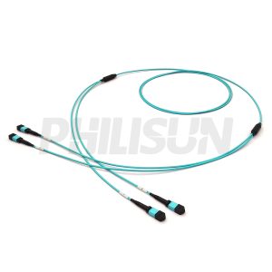 MPO Breakout Cable 2 MPO12-2 MPO12 Series