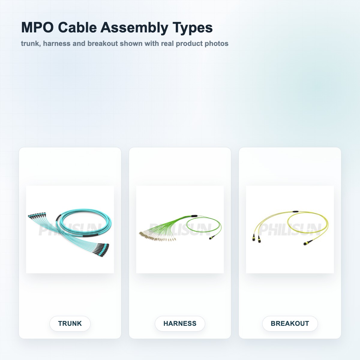 MPO trunk harness and breakout cable real product comparison