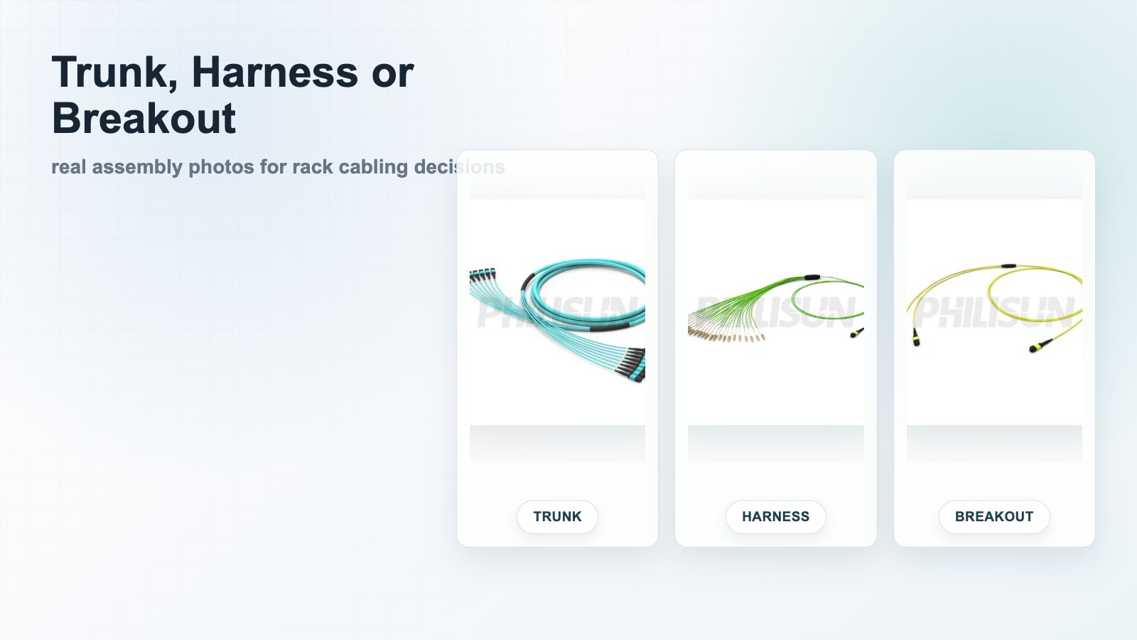 MPO trunk harness and breakout cable banner with real product photos